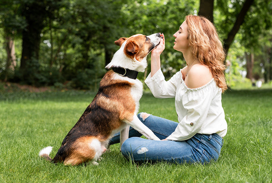 Why Pets Are Important in Our Lives