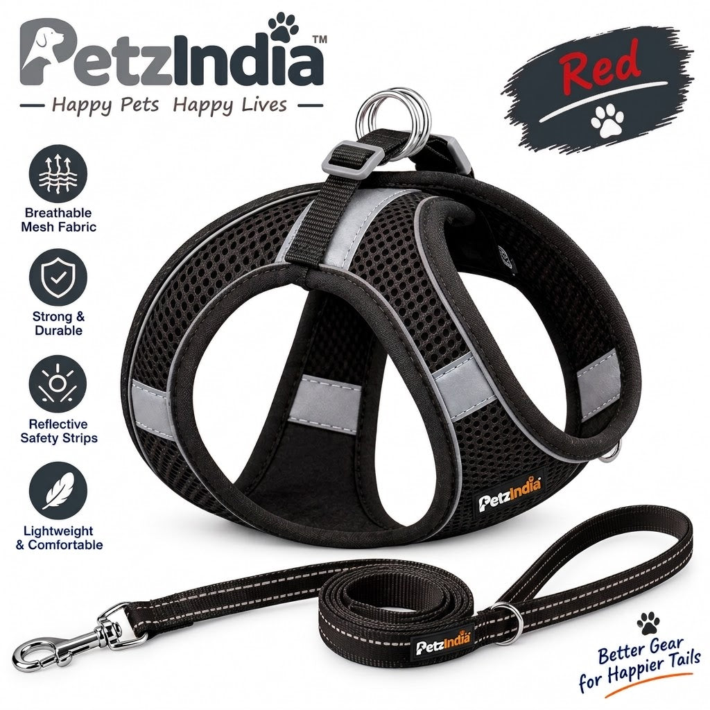 PetzIndia™ Lightweight Comfort Harness with Matching Leash- 15mm