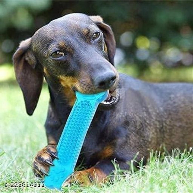 Silicone Chew Toy for Pet (Multicolor)