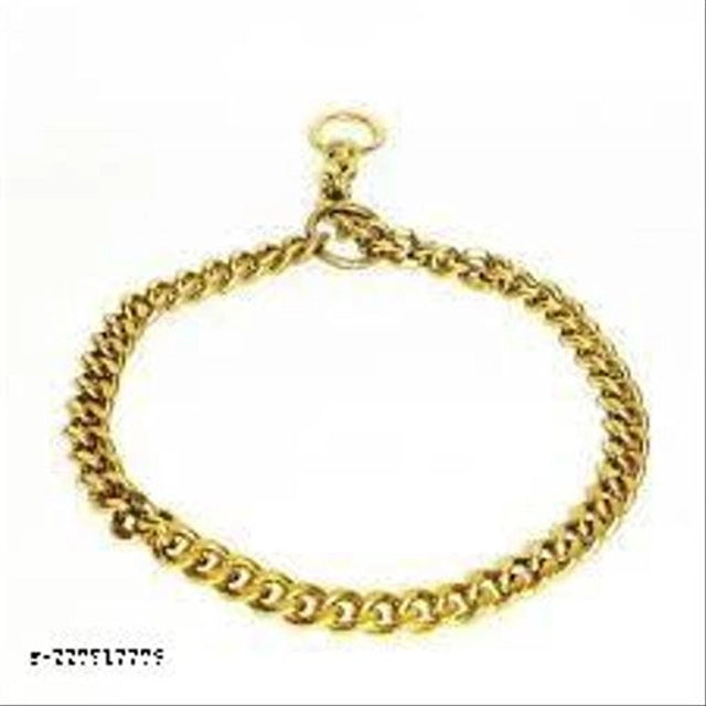 Brass Coller Chain for Pet (Multicolor, 24 inches)