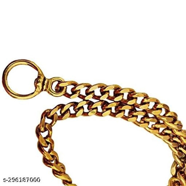 Brass Choker Chain for Dog (Multicolor, 18 inches)
